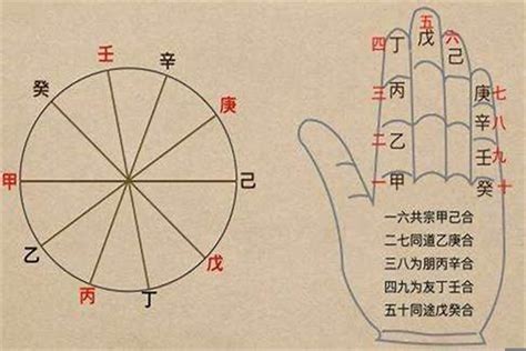 八字 坐基|【坐基是什麼】掌握你的命運基石！解析八字十神的獨門秘笈！